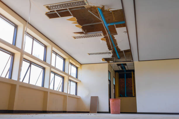 Best Residential water damage restoration  in Milton, WI