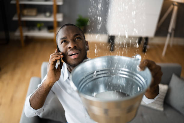 Best Water damage cleanup near me  in Milton, WI