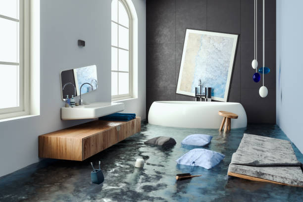 Best Mold removal after water damage  in Milton, WI