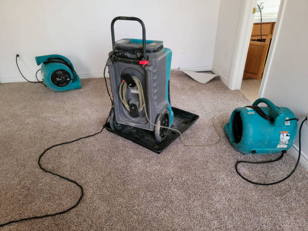 Best Sewage cleanup and water damage restoration  in Milton, WI