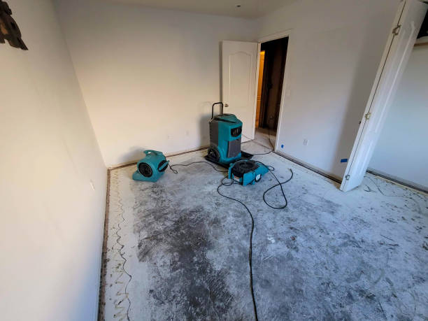  Milton, WI Water damage restoration Pros
