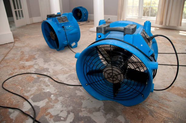 Best 24-hour water damage restoration  in Milton, WI