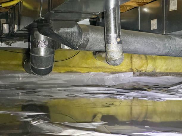 Best Basement water damage restoration  in Milton, WI