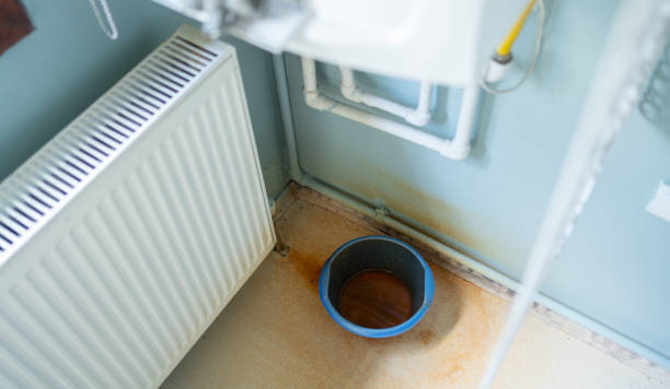 Best Local water damage restoration  in Milton, WI