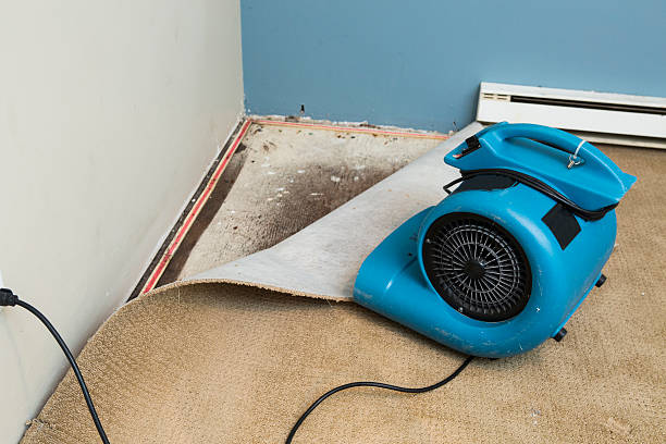 Best 24/7 water damage repair  in Milton, WI